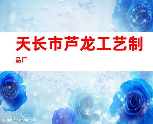 天长市芦龙工艺制品厂